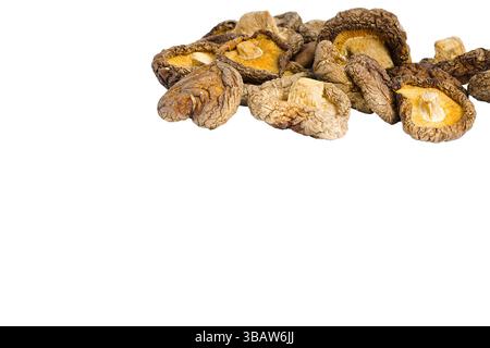 Une vue rapprochée de champignons shiitake séchés sur fond blanc révèle chaque ride et nuance de brun terreux, capturant l'essence de ce traditi Banque D'Images