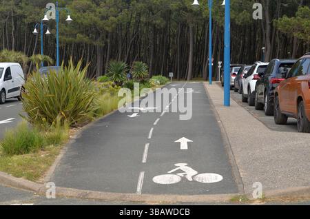La Palmyre, France - 01 mai 2025 : la piste cyclable présente des marques claires et des flèches, entourée de voitures stationnées et de plantes vibrantes, favorisant le cyclisme Banque D'Images