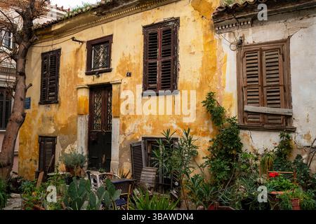 Athènes, Grèce - 2 mars 2025 : quatre chats se prélassent dans une cour en pierre confortable du quartier de Plaka à Athènes, entourée de murs altérés et en pot Banque D'Images