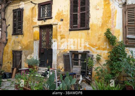Athènes, Grèce - 2 mars 2025 : quatre chats se prélassent dans une cour en pierre confortable du quartier de Plaka à Athènes, entourée de murs altérés et en pot Banque D'Images
