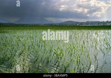 Nuages de tempête sur le lac Chiemsee, Chiemgau, Bavière Allemagne Banque D'Images