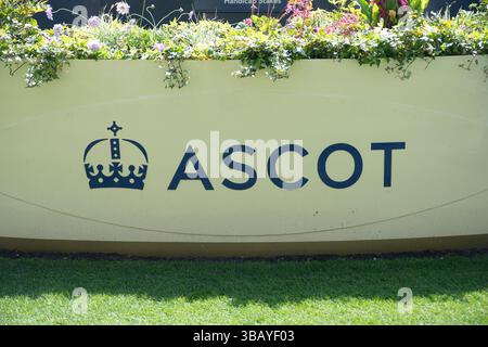 Ascot, Royaume-Uni. 9 mai 2025. Hippodrome d'Ascot à Ascot, Berkshire. Crédit : Maureen McLean/Alamy Banque D'Images