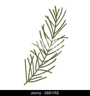 Branche d'arbre de pin dans le style dessiné à la main. Décoration nature pour cadres et couronnes de Noël. Symboles sapin. Brindilles plates vertes de vacances Illustration de Vecteur
