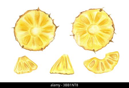 Rondelles jaunes d'ananas Set aquarelle illustration arrière-plan isolé. Fruits tropicaux ensoleillés juteux. Clip art peint à la main pour l'emballage d'été Banque D'Images
