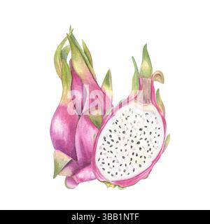 pitaya rose entier et tranché avec chair brillante et graines illustration aquarelle arrière-plan isolé. Fruit de dragon juteux sucré pour une alimentation saine Banque D'Images