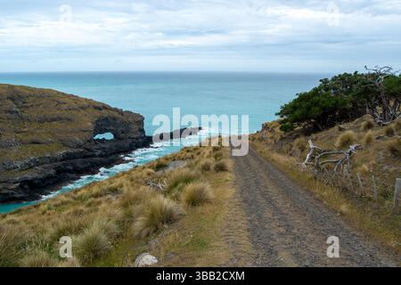 Un paysage côtier pittoresque avec un chemin de terre menant à l'océan, avec des falaises rocheuses et une végétation luxuriante de chaque côté. Le ciel est couvert, c Banque D'Images