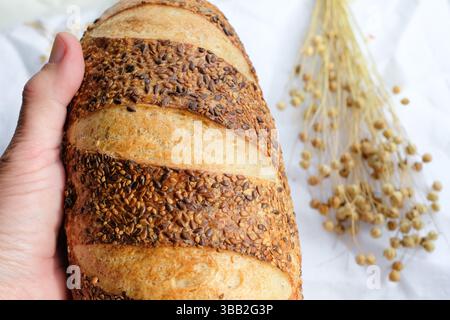 Pain saupoudré de graines de lin et de sésame dans la main de la femme. Gousses de graines de lin. Pain au levain. Vue de dessus. Faible profondeur de champ. Banque D'Images