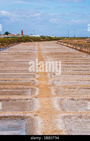 Des rangées de salières sèches s'étendent au loin près d'une vieille cheminée en arrière-plan. Banque D'Images