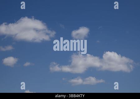 Ciel bleu avec des nuages blancs de Cumulus un jour ensoleillé Banque D'Images