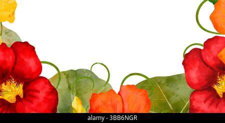 Une belle aquarelle colorée représentant des fleurs vibrantes de nasturtium aux côtés de leurs feuilles délicates. Composition d'aquarelle dessinée à la main isolée sur fond transparent. Banque D'Images
