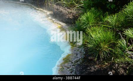 Beppu Jigokudani (vallée de l'enfer) – sources chaudes volcaniques et merveilles géothermiques au Japon Banque D'Images