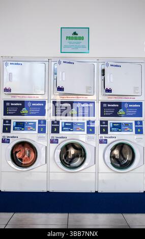 Marilia, Sao Paulo, Brésil, 31 janvier 2025. Rangée de machines à laver et sèche-linge à l'intérieur du self-service de blanchisserie dans la ville de Marilia Banque D'Images