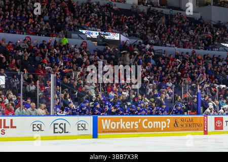 Rochester, New York, États-Unis. 14 mai 2025. Les fans regardent et encouragent dans la première période. Les Américains de Rochester ont accueilli le Rocket de Laval lors du match 1 de la finale de la division nord de la Ligue américaine de hockey au Blue Cross Arena de Rochester, New York. (Jonathan Tenca/CSM). Crédit : csm/Alamy Live News Banque D'Images