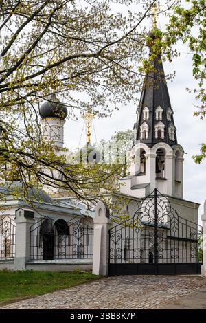 Une ancienne église orthodoxe en brique blanche avec des dômes noirs derrière des arbres verts. Photo de haute qualité Banque D'Images