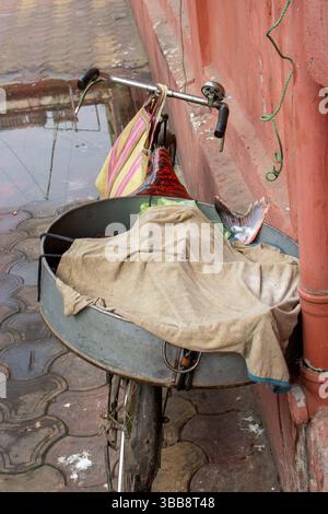 KOLKATA, BENGALE OCCIDENTAL, INDE - 19 FÉVRIER 2024 poisson à vendre dans la région de Bow Barracks Banque D'Images
