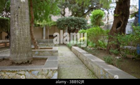 Scène de jardin avec une atmosphère méditerranéenne avec des arbres flous et de la verdure, créant un effet bokeh dans un ancien cadre de chemin de pierre, présentation Banque D'Images