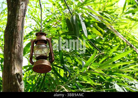 Gros plan de lampe lanterne à huile de kérosène vintage suspendue dans le jardin Banque D'Images