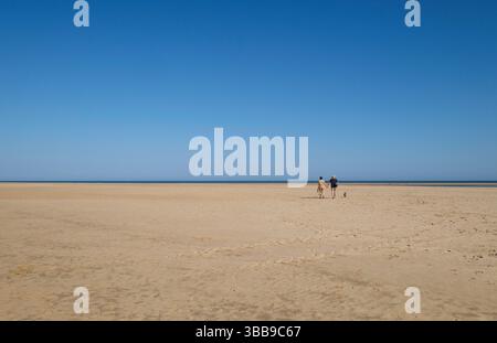 marcheurs de chiens sur la plage de holkham, au nord de norfolk, en angleterre Banque D'Images