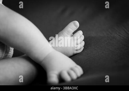 Nouveau-né Baby Feet photographie en noir et blanc Banque D'Images