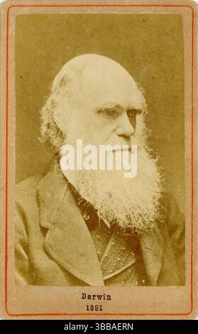 Charles Robert Darwin naturaliste anglais, géologue, biologiste 1809-1882 Banque D'Images