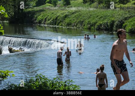 Bath, Royaume-Uni. 15 mai 2025. Journée ensoleillée pour la baignade sauvage au populaire Warleigh Weir près de Bath. Crédit : JMF News/Alamy Live News Banque D'Images