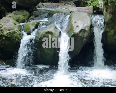 Cascade de Schiessentümpel / Schéissendëmpel (Mullerthal, Grand-Duché de Luxembourg) Banque D'Images
