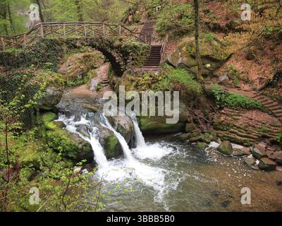 Cascade de Schiessentümpel / Schéissendëmpel (Mullerthal, Grand-Duché de Luxembourg) Banque D'Images