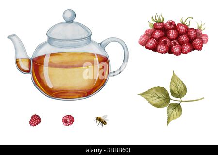 Théière avec tisane, framboises mûres, feuilles serties. Dessin aquarelle, idéal pour l'emballage de thé, les étiquettes de produits à base de plantes, le décor de cuisine et la conception liée à la nourriture. Banque D'Images