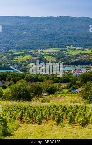 Vue panoramique sur les vignobles, le Rhône et la ville de Seyssel nichée dans les Alpes françaises Banque D'Images