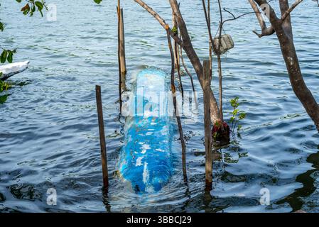 Vue d'un canoë bleu retourné sur une rivière, sous des arbres aquatiques. Moyens de transport Banque D'Images