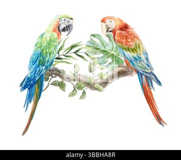 Perroquets d'aras assis sur une branche, feuilles de palmier tropical et monstera. Illustration d'aquarelle dessinée à la main isolée sur blanc. Pour cartes postales, invitations Banque D'Images
