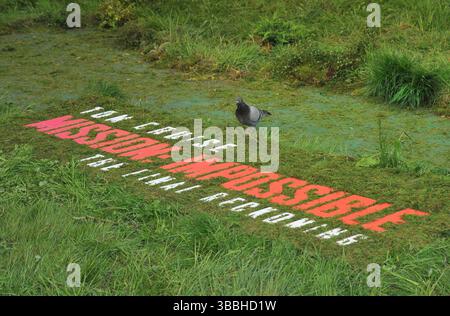 Londres, Royaume-Uni. 15 mai 2025. Pigeon à la première mondiale du film « Mission : impossible - The final Reckoning », Leicester Square Gardens, Leicester Square, le jeudi 15 mai 2025 à Londres, Angleterre, Royaume-Uni. CAP/CAN © CAN/Capital Pictures crédit : Capital Pictures/Alamy Live News Banque D'Images