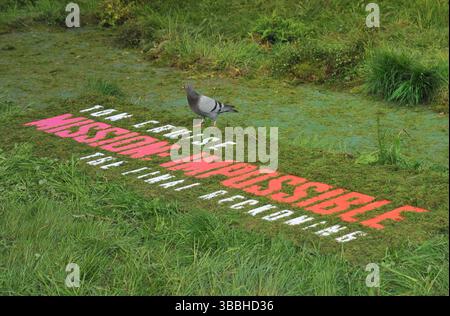 Londres, Royaume-Uni. 15 mai 2025. Pigeon à la première mondiale du film « Mission : impossible - The final Reckoning », Leicester Square Gardens, Leicester Square, le jeudi 15 mai 2025 à Londres, Angleterre, Royaume-Uni. CAP/CAN © CAN/Capital Pictures crédit : Capital Pictures/Alamy Live News Banque D'Images