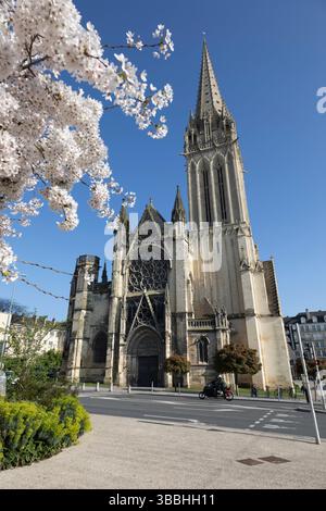 Eglise Saint-Pierre de Caen, Caen, Normandie, France, Europe Banque D'Images