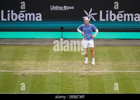 'S-HERTOGENBOSCH, PAYS-BAS - 14 JUIN : Tallon Griekspoor, des pays-Bas, réagit dans son match de quart de finale masculin contre Aleksandar Vukic, d'Australie, le jour 5 des Championnats Libema Open Grass court à l'Autotron le 14 juin 2024 à 's-Hertogenbosch, pays-Bas (photo de Rene Nijhuis/BSR Agency) Banque D'Images