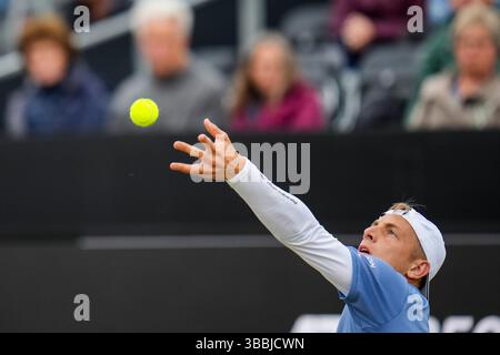 'S-HERTOGENBOSCH, PAYS-BAS - 14 JUIN : Tallon Griekspoor, des pays-Bas, participe à son quart de finale masculin contre Aleksandar Vukic, d'Australie, le jour 5 des Championnats Libema Open Grass court à l'Autotron le 14 juin 2024 à 's-Hertogenbosch, pays-Bas (photo de Rene Nijhuis/BSR Agency) Banque D'Images