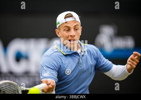 'S-HERTOGENBOSCH, PAYS-BAS - 14 JUIN : Tallon Griekspoor, des pays-Bas, participe à son quart de finale masculin contre Aleksandar Vukic, d'Australie, le jour 5 des Championnats Libema Open Grass court à l'Autotron le 14 juin 2024 à 's-Hertogenbosch, pays-Bas (photo de Rene Nijhuis/BSR Agency) Banque D'Images