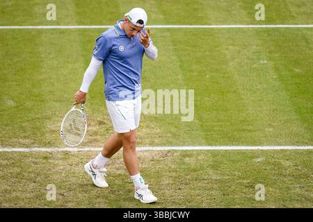 'S-HERTOGENBOSCH, PAYS-BAS - 14 JUIN : Tallon Griekspoor, des pays-Bas, réagit dans son match de quart de finale masculin contre Aleksandar Vukic, d'Australie, le jour 5 des Championnats Libema Open Grass court à l'Autotron le 14 juin 2024 à 's-Hertogenbosch, pays-Bas (photo de Rene Nijhuis/BSR Agency) Banque D'Images