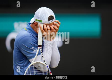 'S-HERTOGENBOSCH, PAYS-BAS - 14 JUIN : Tallon Griekspoor, des pays-Bas, réagit dans son match de quart de finale masculin contre Aleksandar Vukic, d'Australie, le jour 5 des Championnats Libema Open Grass court à l'Autotron le 14 juin 2024 à 's-Hertogenbosch, pays-Bas (photo de Rene Nijhuis/BSR Agency) Banque D'Images