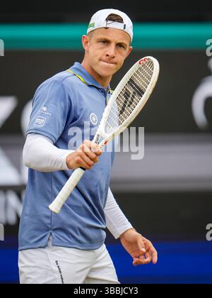 'S-HERTOGENBOSCH, PAYS-BAS - 14 JUIN : Tallon Griekspoor, des pays-Bas, réagit dans son match de quart de finale masculin contre Aleksandar Vukic, d'Australie, le jour 5 des Championnats Libema Open Grass court à l'Autotron le 14 juin 2024 à 's-Hertogenbosch, pays-Bas (photo de Rene Nijhuis/BSR Agency) Banque D'Images