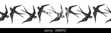 Avale les oiseaux ressort élégante bordure sans couture. Bannière de bordure graphique à l'aquarelle vintage dessinée à la main. Parfait pour le papier d'emballage rétro, printemps ou Banque D'Images