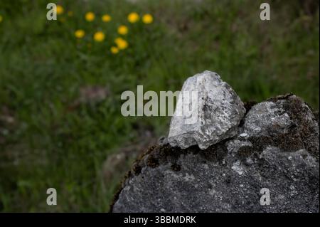 Tradition typique d'apporter les pierres sur les tombes de parents et d'amis. Détail d'une pierre dans un cimetière juif historique abandonné. Trstin, Banque D'Images