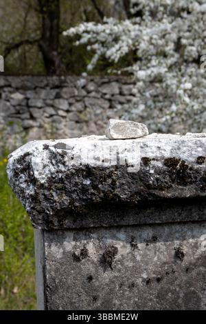 Tradition typique d'apporter les pierres sur les tombes de parents et d'amis. Détail d'une pierre dans un cimetière juif historique abandonné. Trstin, Banque D'Images