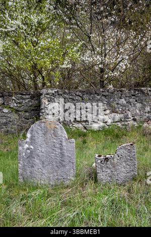 Vieille pierre tombale en pierre altérée dans un petit cimetière juif abandonné, entouré par la nature fraîche du printemps. Trstin, république slovaque. Banque D'Images