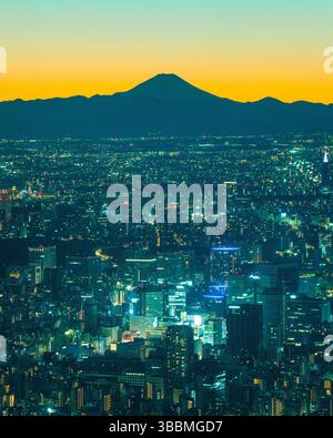 Photo haute résolution du paysage urbain de Tokyo prise depuis la plate-forme d'observation Tokyo Skytree. Offrant une vue imprenable sur la capitale japonaise, y compris Banque D'Images