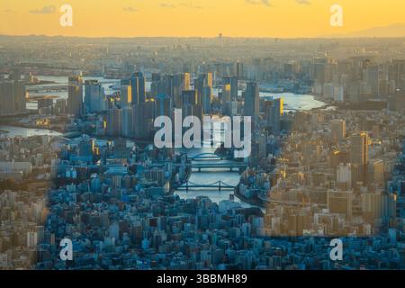 Photo haute résolution du paysage urbain de Tokyo prise depuis la plate-forme d'observation Tokyo Skytree. Offrant une vue imprenable sur la capitale japonaise, y compris Banque D'Images