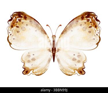 Illustration de papillon aquarelle avec ailes déployées, isolé sur blanc Banque D'Images