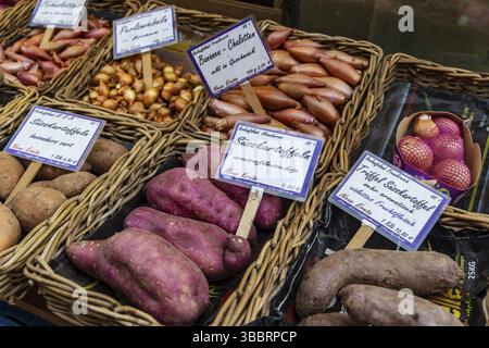 Patates douces et pommes de terre de différentes origines. Marché à Carlsplatz. Duesseldorf, Rhénanie du Nord-Westphalie, Allemagne, Europe Banque D'Images