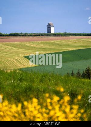 Un paysage pittoresque avec des champs verdoyants et une tour blanche lointaine. Le premier plan est orné de fleurs jaunes vibrantes, tandis que le bac Banque D'Images
