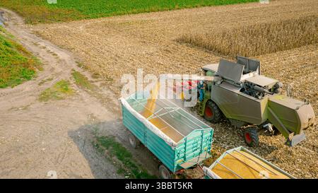 Vue au-dessus du transbordement de la moissonneuse-batteuse à la remorque, déchargement du maïs récolté. Parcelles cultivées en saison de récolte Banque D'Images